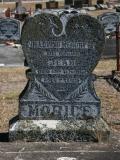 image of grave number 813271